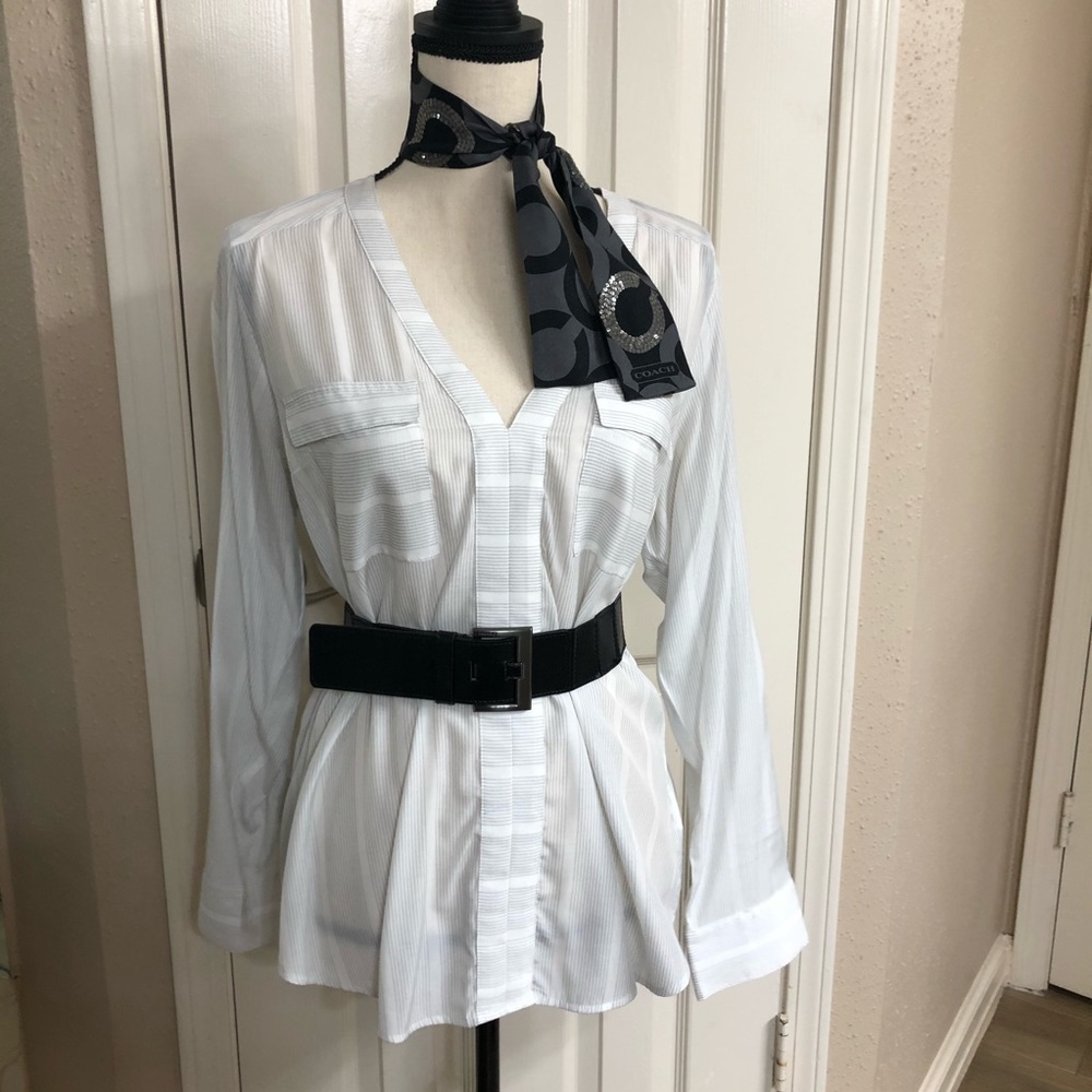 Express VNeck White Stripes Blouse